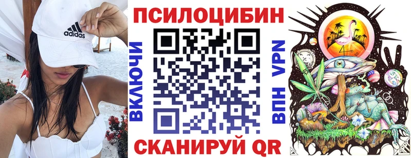 Псилоцибиновые грибы Cubensis  Нахабино 